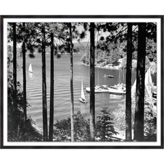 A Sailor's Escape Among the Trees